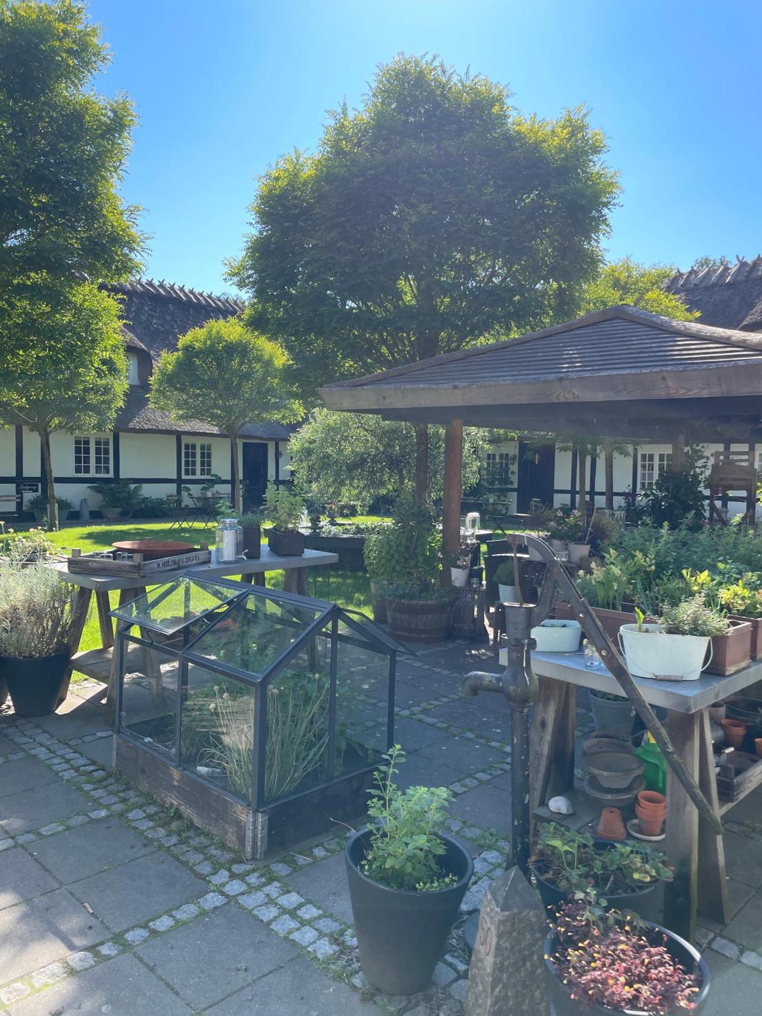 Slangerupgaard Bed and Breakfast Fakse Ladeplads Buitenkant foto
